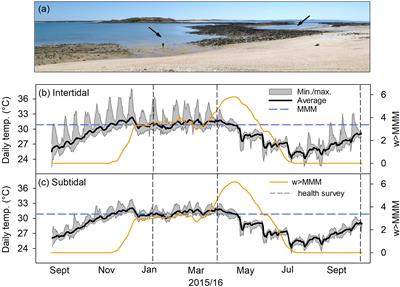 Thermally Variable, Macrotidal Reef Habitats Promote Rapid Recovery From Mass Coral Bleaching